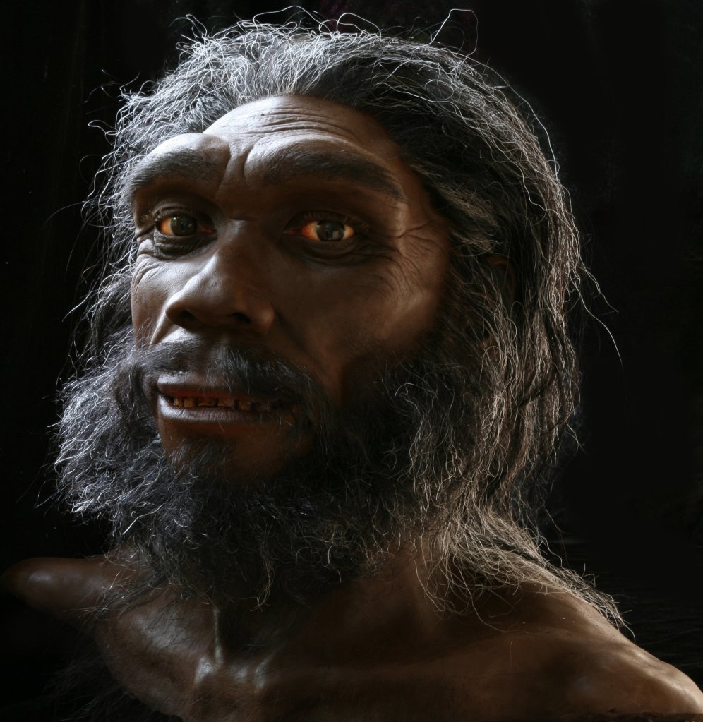 Homo heidelbergensis (324-274,000 years ago) by John Gurche